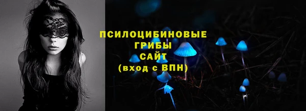 PSILOCYBIN Богородск